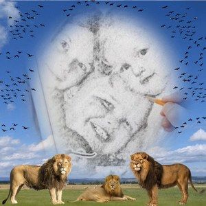 Meet your Posher, Nina